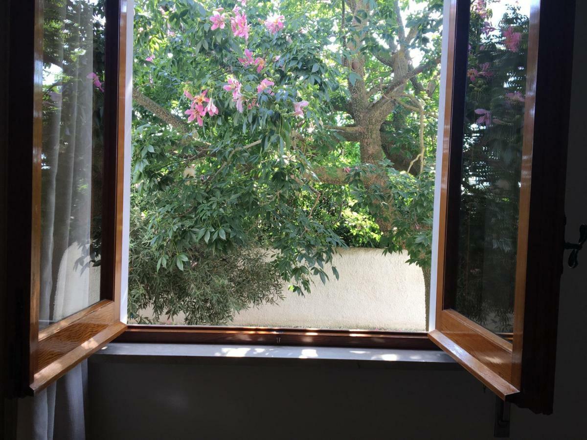 B&B Zagara Marsala Zewnętrze zdjęcie